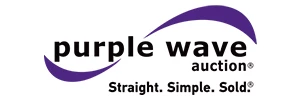 Purple Wave Auto Auction-