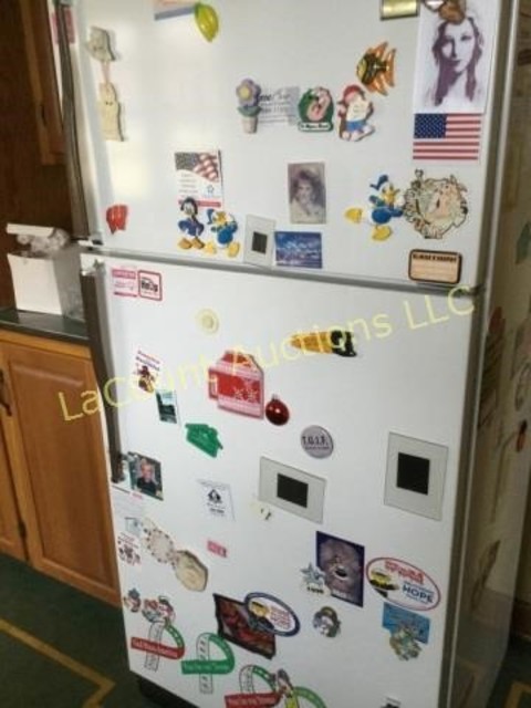 170 Miscellaneous all magnets on 3 sides of fridge.